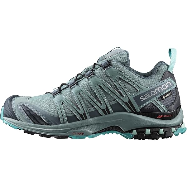 Amazon.com | SALOMON Women's Xa Pro 3D V8 Gore-tex Trail Running